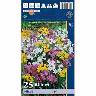 Ukrasni luk (Allium) mix multicolor slika 2