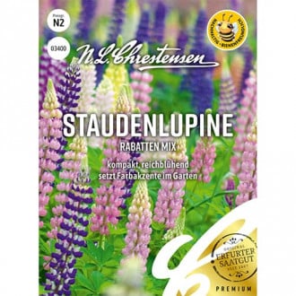 Ukrasni lupinus Border, mix multicolor slika 1