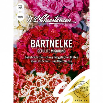 Višegodišnji turski karanfil, mix multicorlor slika 2