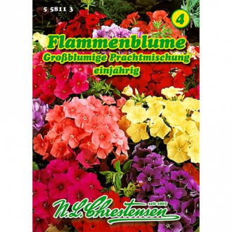 Visoki plamenac, mix multicolor slika 3