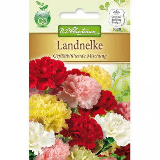 Vrtni karanfil sa dvostrukim cvjetovima, mix multicolor slika 6