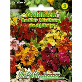 Zlati šeboj, mix multicolor slika 2