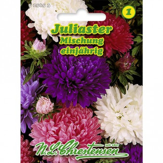 Zvijezdan Juliaster mix multicolor slika 5