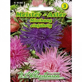 Zvijezdan Meister, mix multicolor slika 5