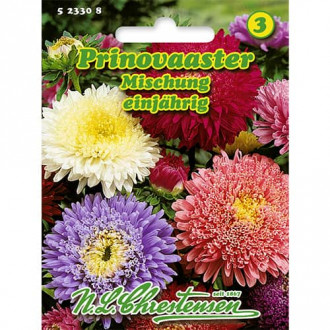 Zvijezdan Prinovaaster, mix multicolor slika 1