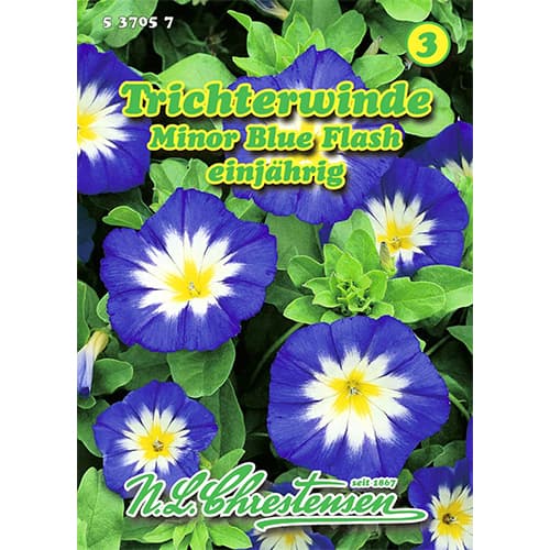 Ladolež Minor Blue Flash slika 1 interface.art 96411