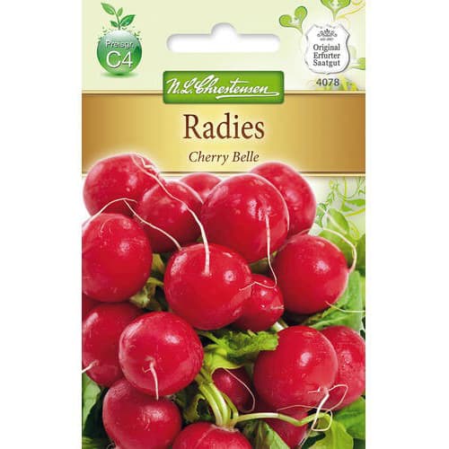 Rotkvica Cherry Belle slika 1 interface.art 78738