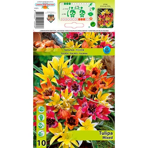 Botanički tulipan Mixed slika 1 interface.art 67873