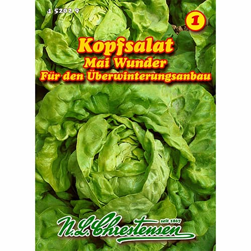 Salata Mai Wunder slika 1 interface.art 96479