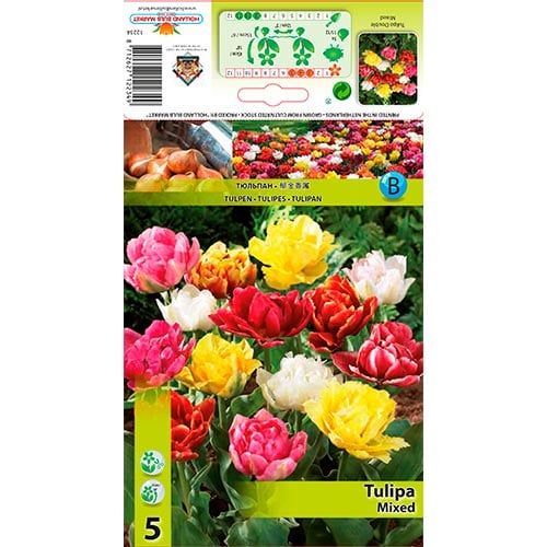 Tulipan dupli Mixed slika 1 interface.art 67731
