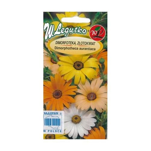 Afrička ivančica Summertime mješavina slika 1 interface.art 69581