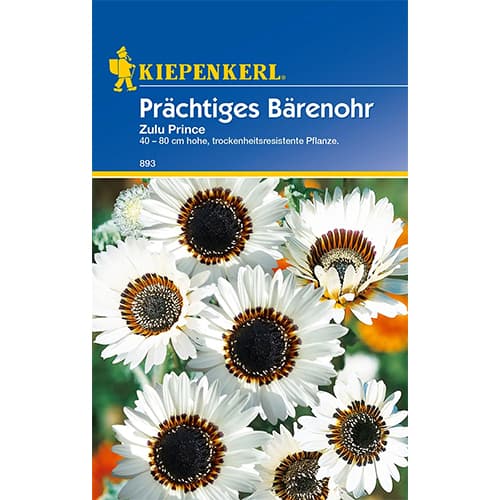 Afrička ivančica Zulu Prince slika 1 interface.art 77423