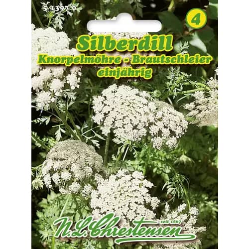 Ammi majus slika 1 interface.art 96400