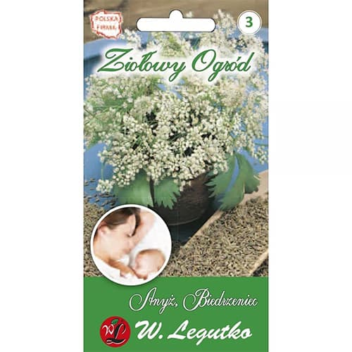 Anis Legutko slika 1 interface.art 69664