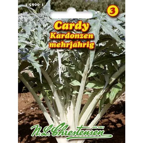 Artičoka Cardy slika 1 interface.art 96468