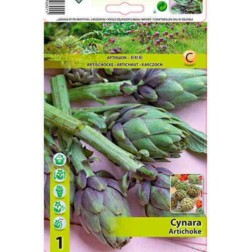 Artičok slika 1 interface.art 70502