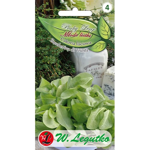 Baby Leaf - List cikorije Zuccherina di Trieste slika 1 interface.art 86705