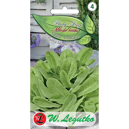 Baby Leaf - Rimska salata Paris Island cos slika 1 interface.art 86714