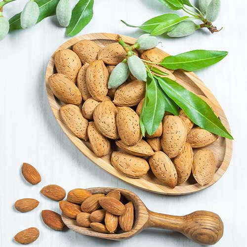 Badem Avijor, С2 slika 1 interface.art 7947