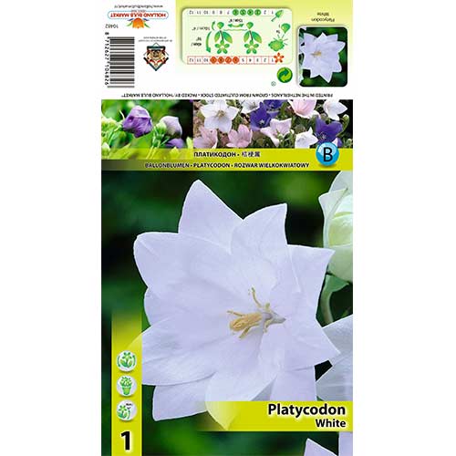 Balon Cvijet White slika 1 interface.art 70449