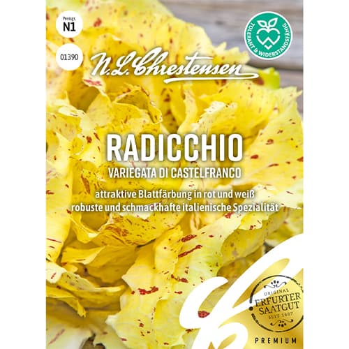 Bijela cikorija Variegata di Castelfranco slika 1 interface.art 86082