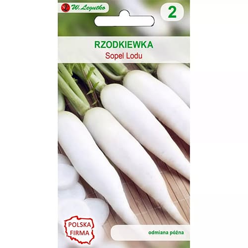 Bijela rotkvica Slojevi leda slika 1 interface.art 96806