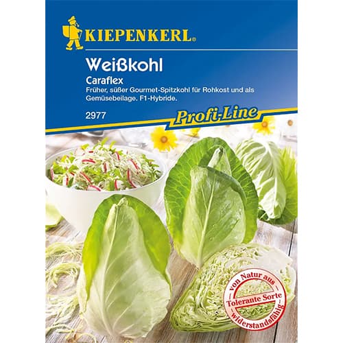 Bijeli kupus Caraflex F1 interface.art interface.photo 1 Bijeli kupus Caraflex F1 slika 1 interface.art 86536