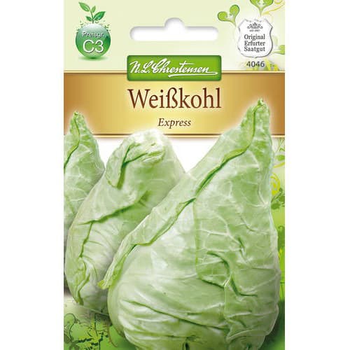 Bijeli kupus Express slika 1 interface.art 78726