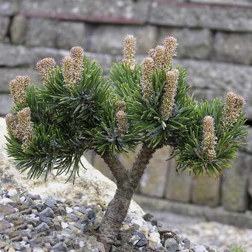 Bor Jacobsen, C4 slika 1 interface.art 8251