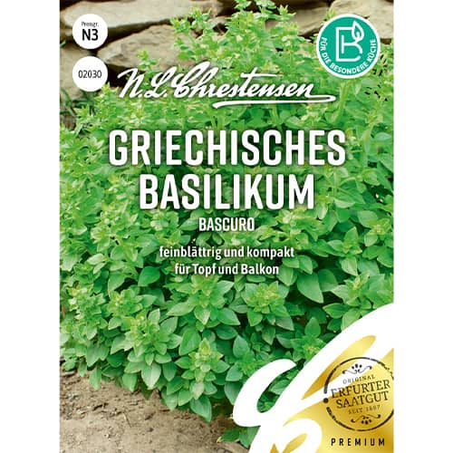 Bosiljak grčki Bascuro slika 1 interface.art 86005