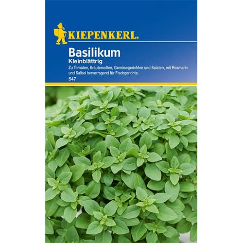 Bosiljak jednogodišnji slika 1 interface.art 77456