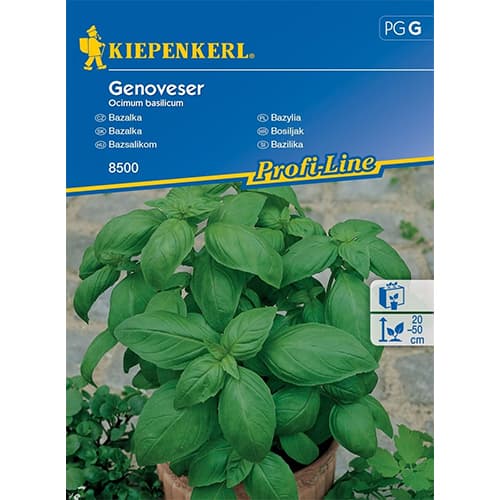 Bosiljak širokog lista slika 1 interface.art 96592