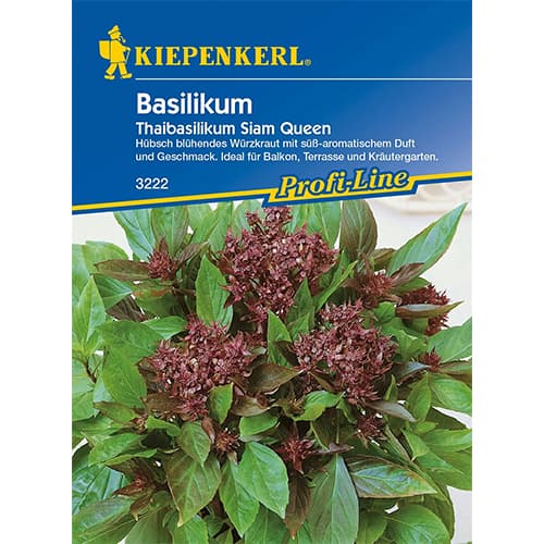 Bosiljak Thai Siam Queen slika 1 interface.art 96682