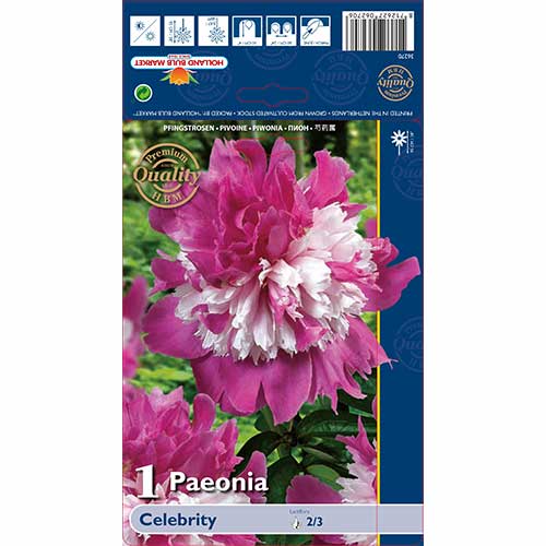 Božur Celebrity slika 1 interface.art 76129