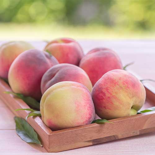 Breskva Haly Gali, С2 slika 1 interface.art 7992