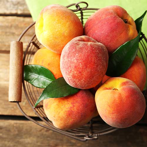 Breskva Maria Bianca slika 1 interface.art 4297