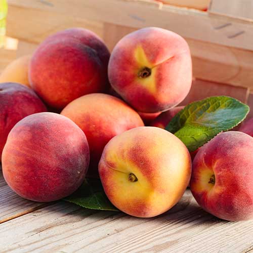 Breskva Romeo, C2 slika 1 interface.art 9678