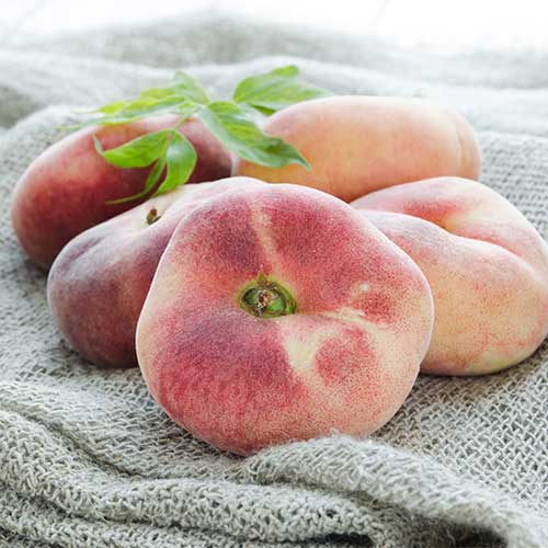 Breskva Saturn slika 1 interface.art 5672