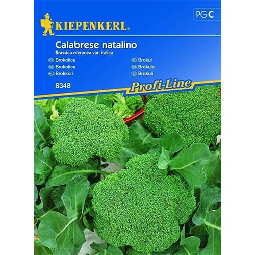 Brokula Calabrese natalino Kiepenkerl slika 1 interface.art 86396