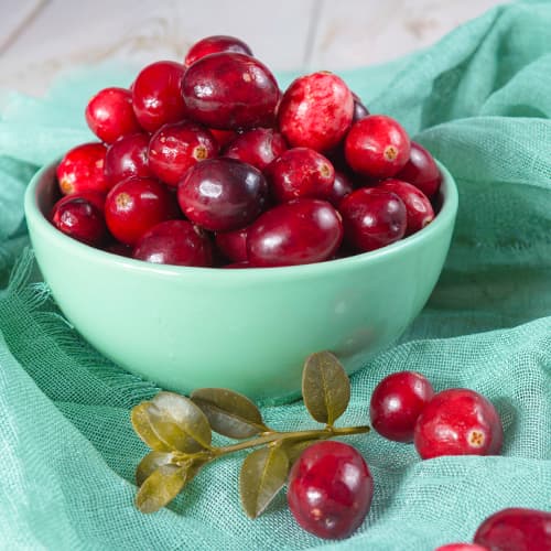 Brusnica Pilgrim, P9 slika 1 interface.art 9311