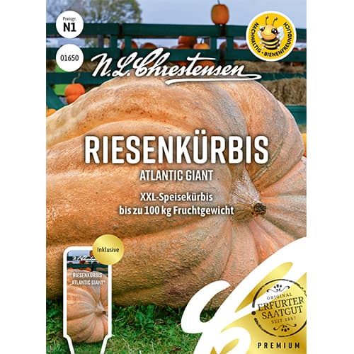 Bundeva Atlantic Giant Chrestensen slika 1 interface.art 87848