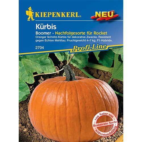 Bundeva Boomer F1 slika 1 interface.art 87786