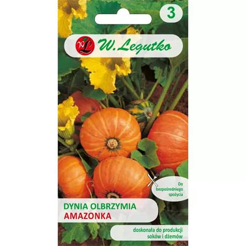 Bundeva gigant Amazon slika 1 interface.art 69459