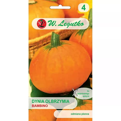 Bundeva gigant Bambino slika 1 interface.art 69461