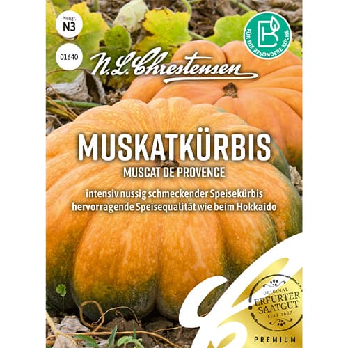 Bundeva Muscat de Provence Chrestensen slika 1 interface.art 86071