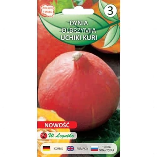 Bundeva Uchiki Kuri (Hokkaido) slika 1 interface.art 78455