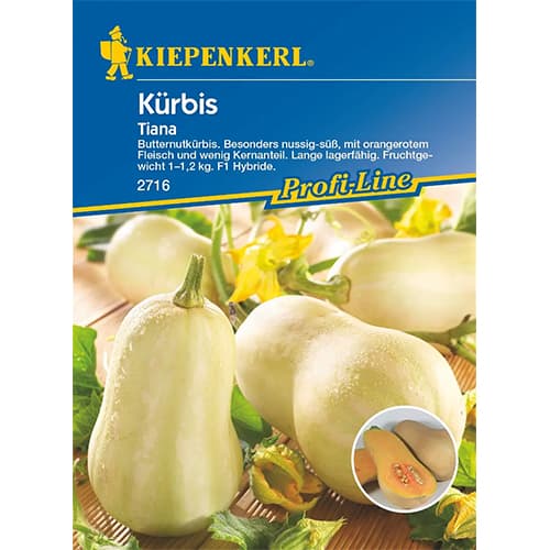 Bundevaeac Tiana F1 slika 1 interface.art 87282