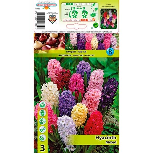 Zumbul Mixed slika 1 interface.art 68057