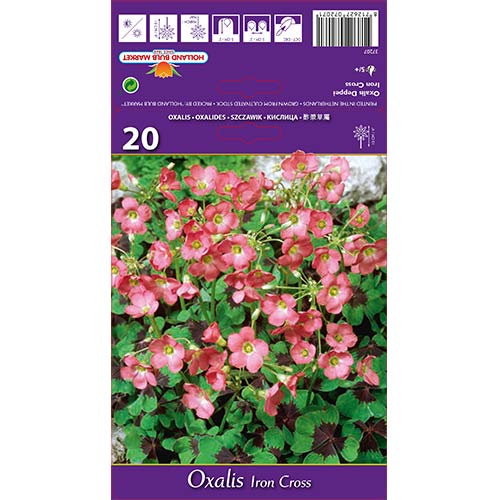 Cecelj Deppei Iron Cross slika 1 interface.art 67671