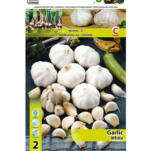 Bijeli češnjak slika 1 interface.art 70500